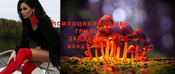 ПСИЛОЦИБИНОВЫЕ ГРИБЫ Нефтекумск