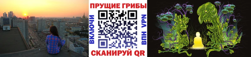 Псилоцибиновые грибы Cubensis  Обнинск 